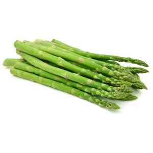 Garden asparagus(Asparagus officinalis)