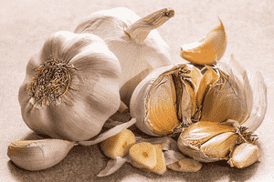 Garlic(Allium sativum)