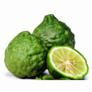 Kaffir lime(Citrus hystrix)