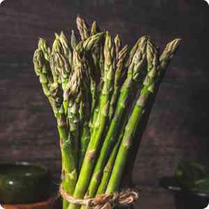 Garden asparagus(Asparagus officinalis)