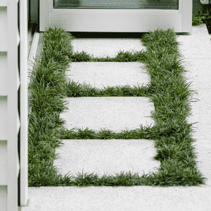 Dwarf lilyturf(Ophiopogon japonicus)