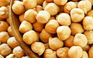 Chick Pea(Cicer arietinum)
