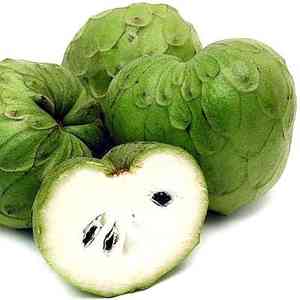 Cherimoya(Annona cherimola)