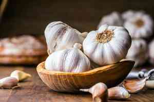 Garlic(Allium sativum)