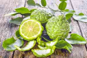 Kaffir lime(Citrus hystrix)