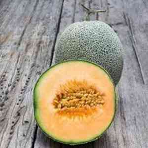Cantaloupe(Cucumis melo)
