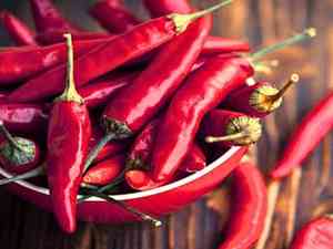 Pepper(Capsicum annuum)