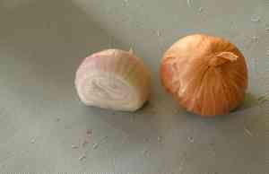 Wild onion(Allium ascalonicum)