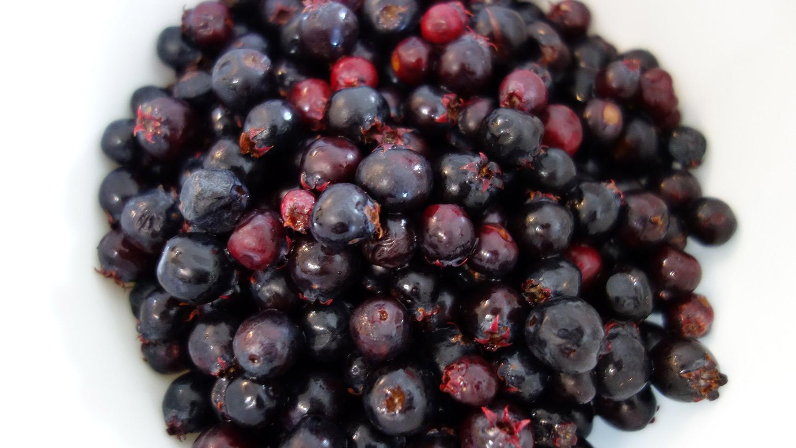 Western serviceberry