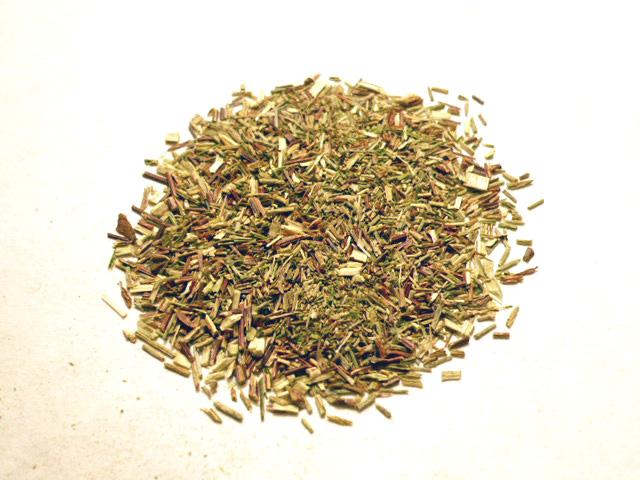 Rooibos (Aspalathus linearis) Care Guide: Pests, Diseases, Watering ...