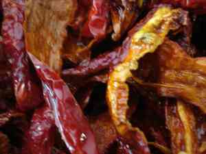 Capsicum (Capsicum)(Capsicum)