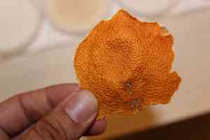 Mandarin orange(Citrus reticulata)