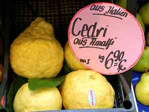 Citrus (Citrus)(Citrus)