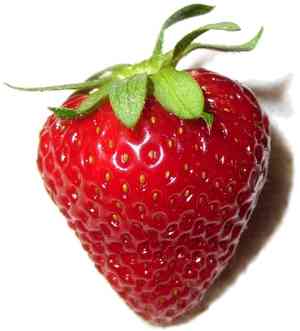 Strawberries (Fragaria)(Fragaria)