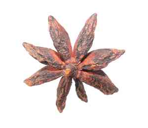 Star anise(Illicium verum)