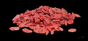 Chinese Boxthorn(Lycium chinense)