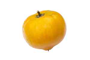 Canistel(Pouteria campechiana)