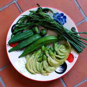 Vegetable hummingbird(Sesbania grandiflora)