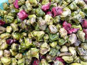 Water chestnut(Trapa natans)